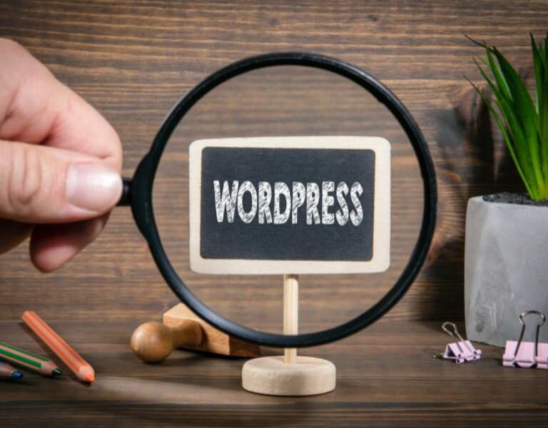 WordPress vs Custom Website in Sri Lanka